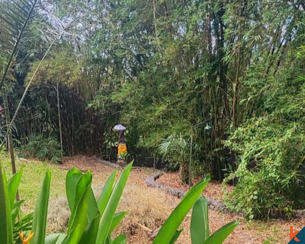 10 Are Riverside Land for Sale in Pererenan