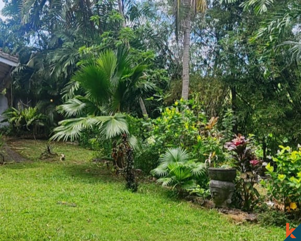 10 Are Riverside Land for Sale in Pererenan