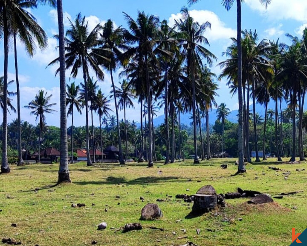 Tanah tepi pantai seluas 290 are di Tabanan dijual