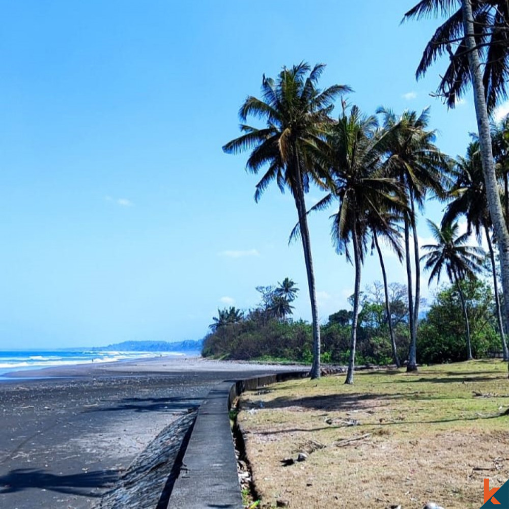 Expansive of 290 Are Beachfront Land in Tabanan for Sale