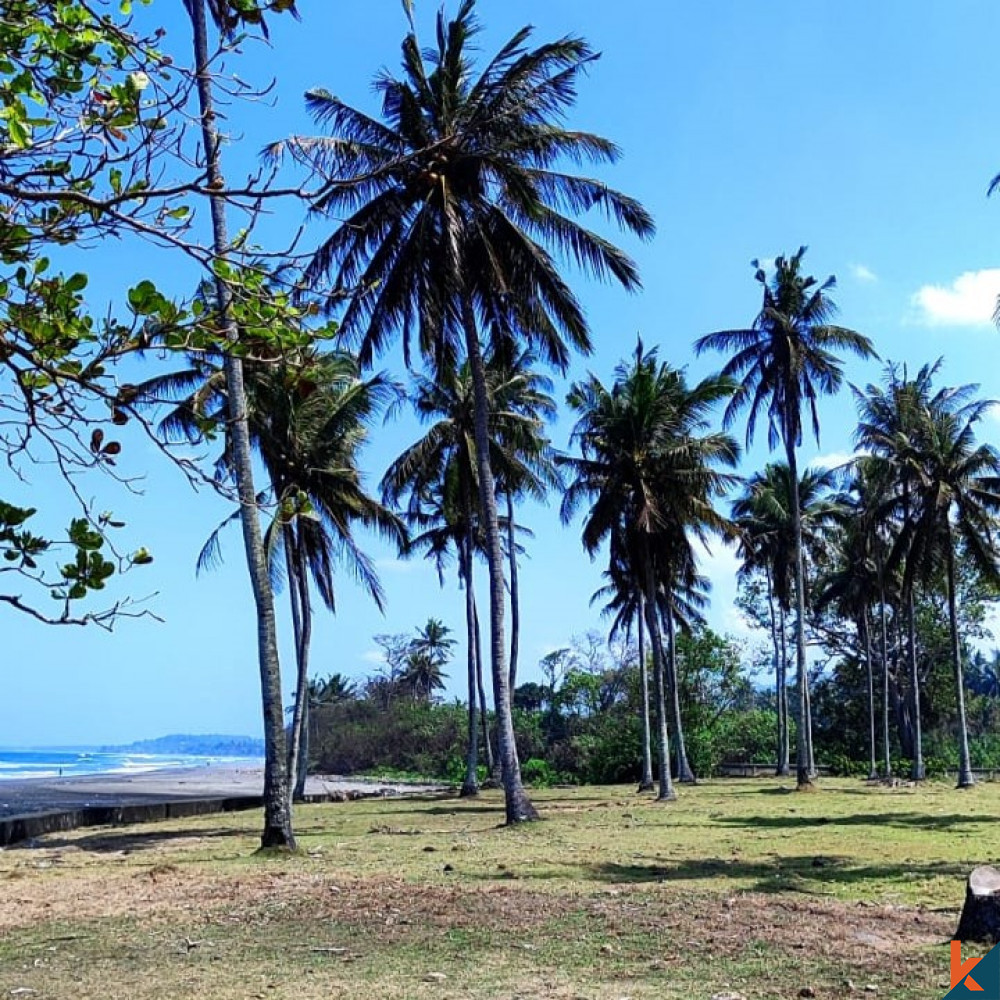Tanah tepi pantai seluas 290 are di Tabanan dijual