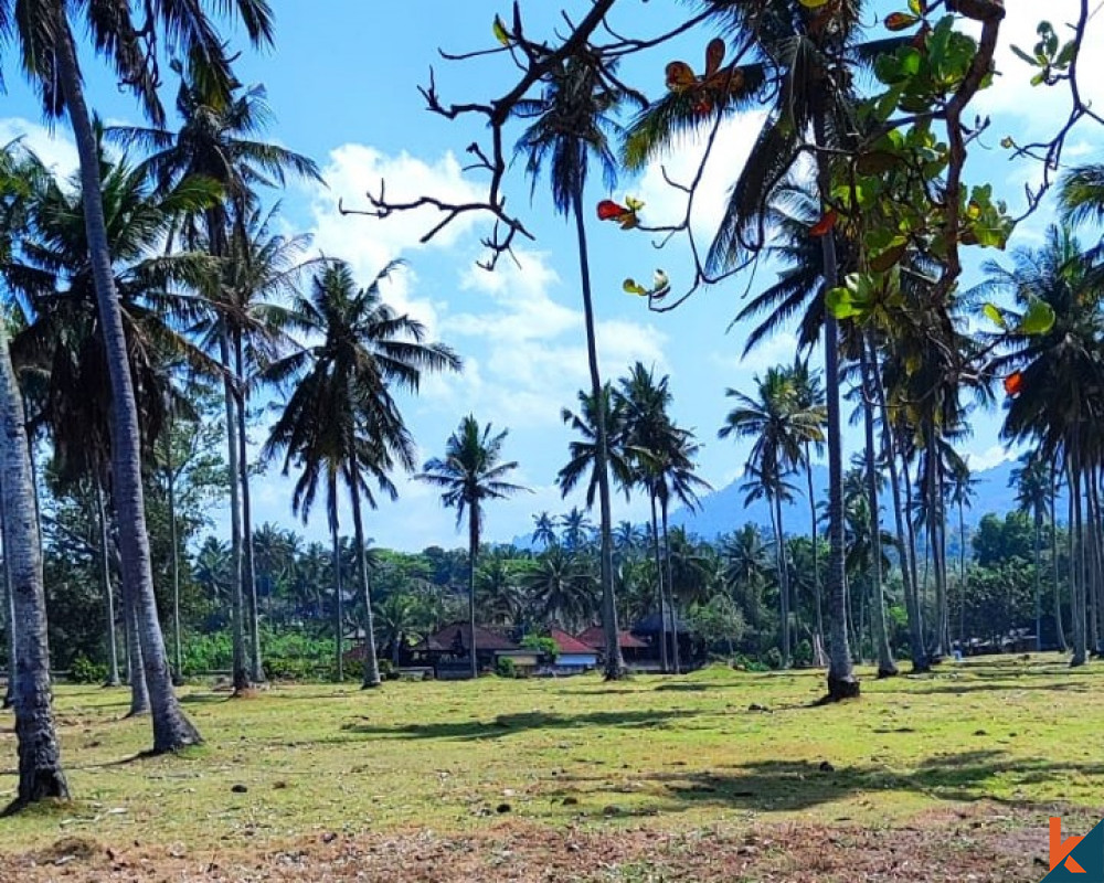 Tanah tepi pantai seluas 290 are di Tabanan dijual