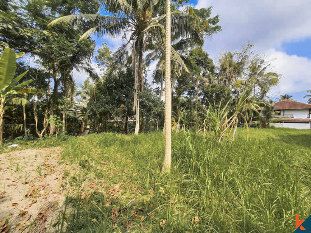 Amazing Freehold Land for Sale With Jungle Views