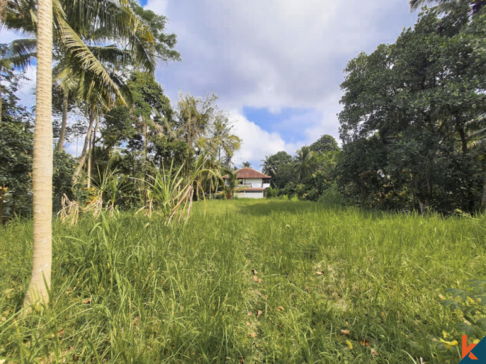 Amazing Freehold Land for Sale With Jungle Views