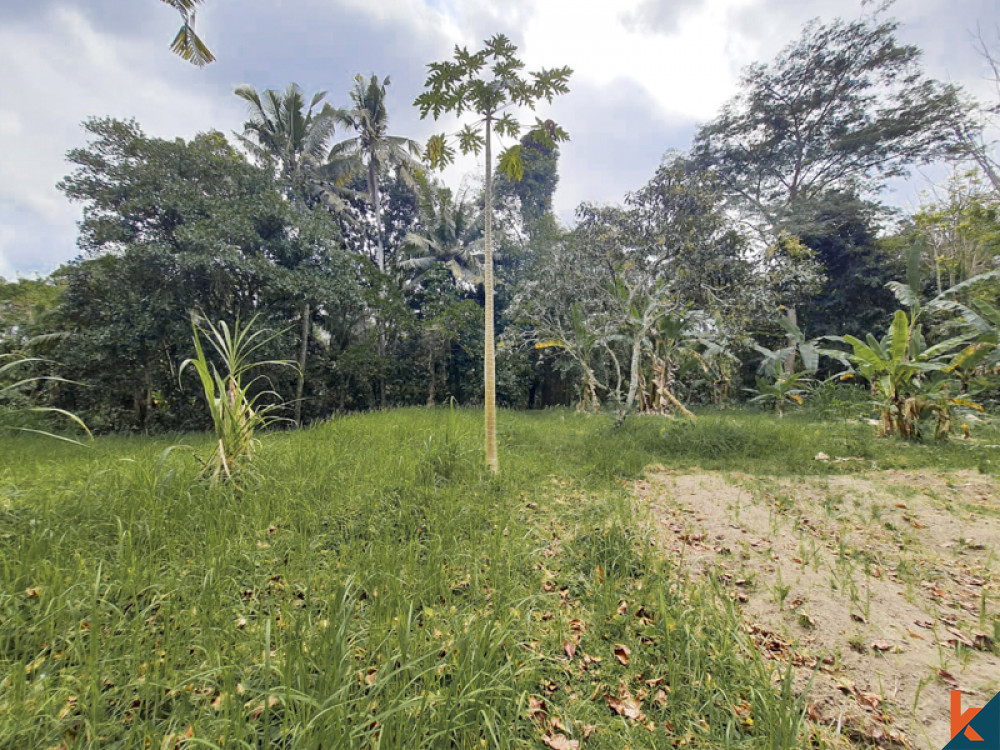 Amazing Freehold Land for Sale With Jungle Views