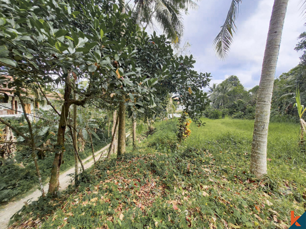 Amazing Freehold Land for Sale With Jungle Views