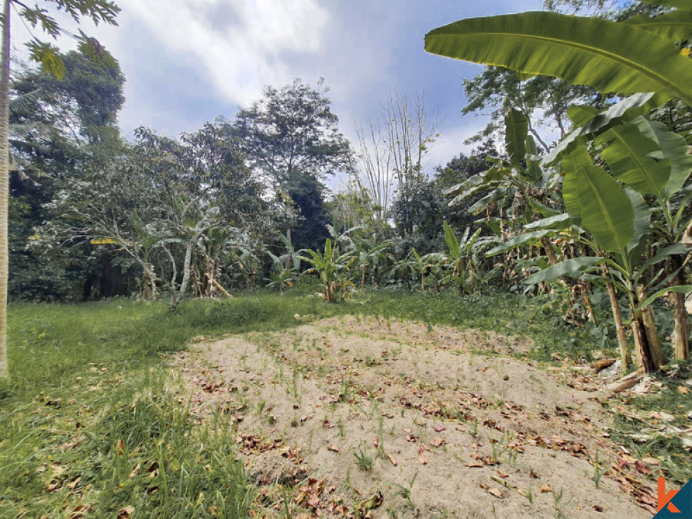 Amazing Freehold Land for Sale With Jungle Views