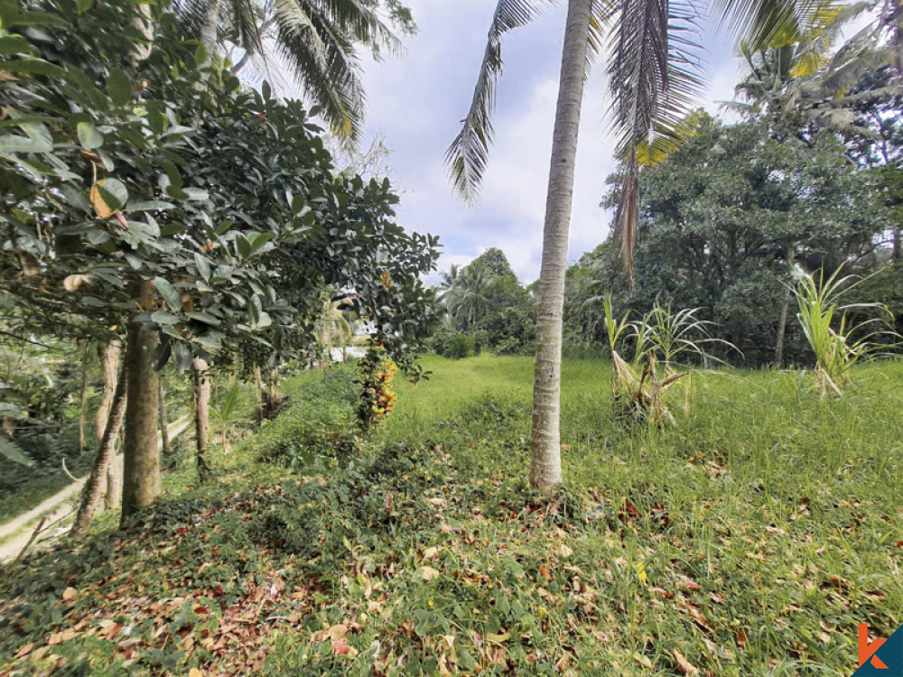 Amazing Freehold Land for Sale With Jungle Views