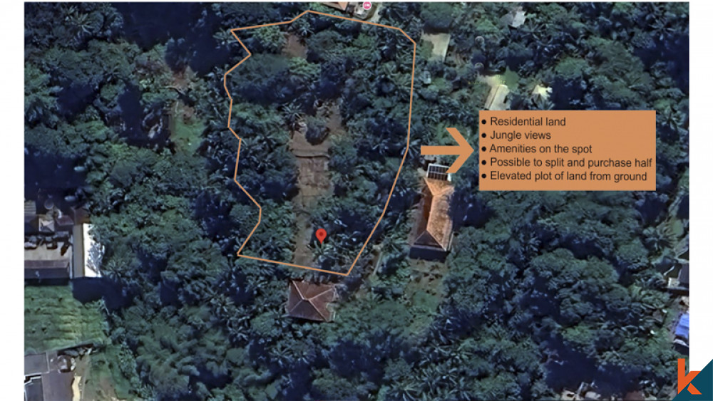 Amazing Freehold Land for Sale With Jungle Views