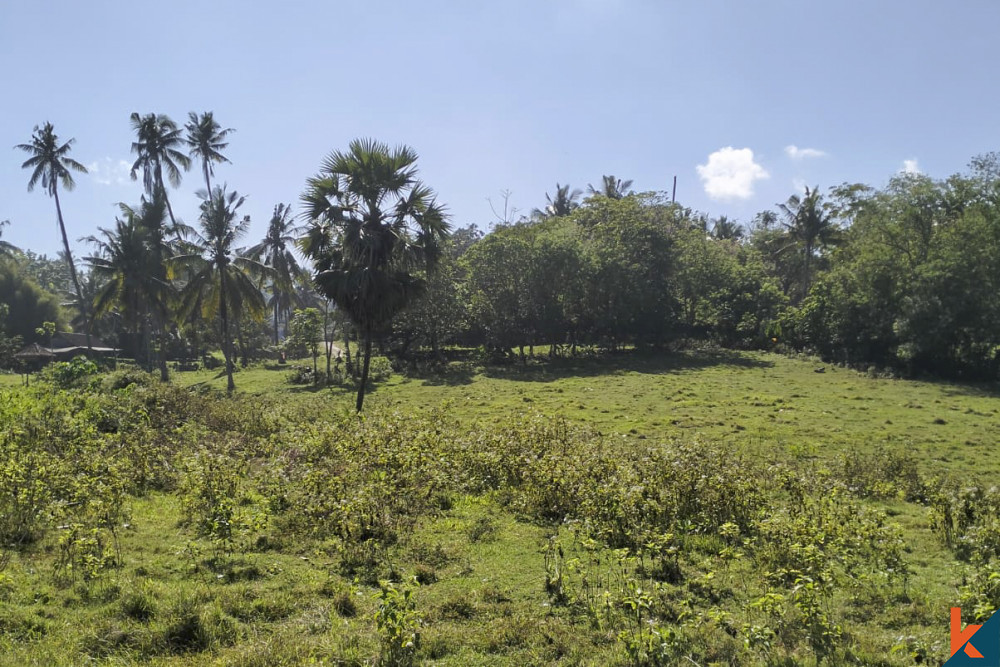 Great beachfront land opportunity in Tabanan
