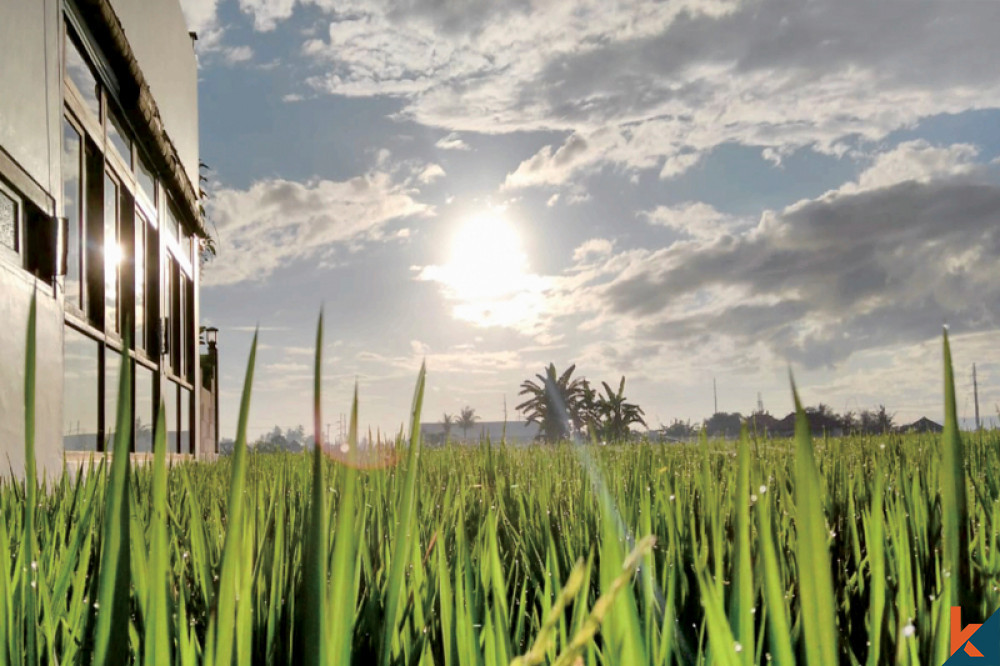 Maison en pleine propriété à vendre avec vue imprenable sur 270°