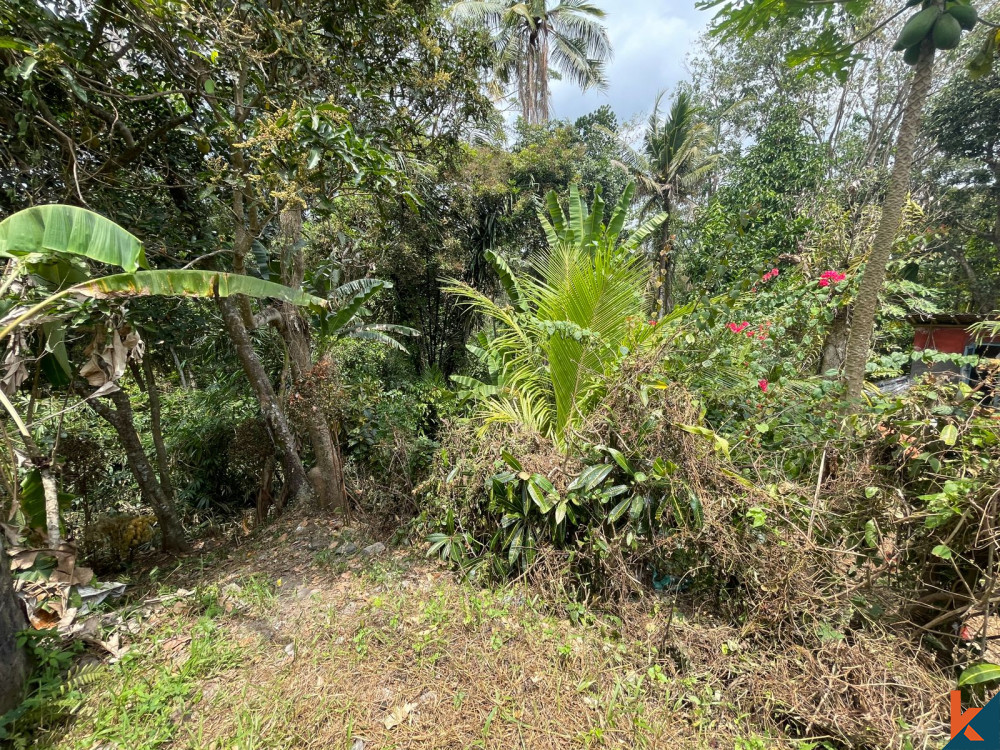 Terrain tranquille au bord de la rivière sur Jalan Pantai Nyanyi