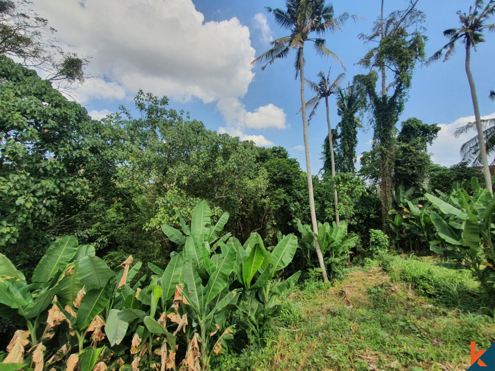 River View Freehold Land in Nyanyi