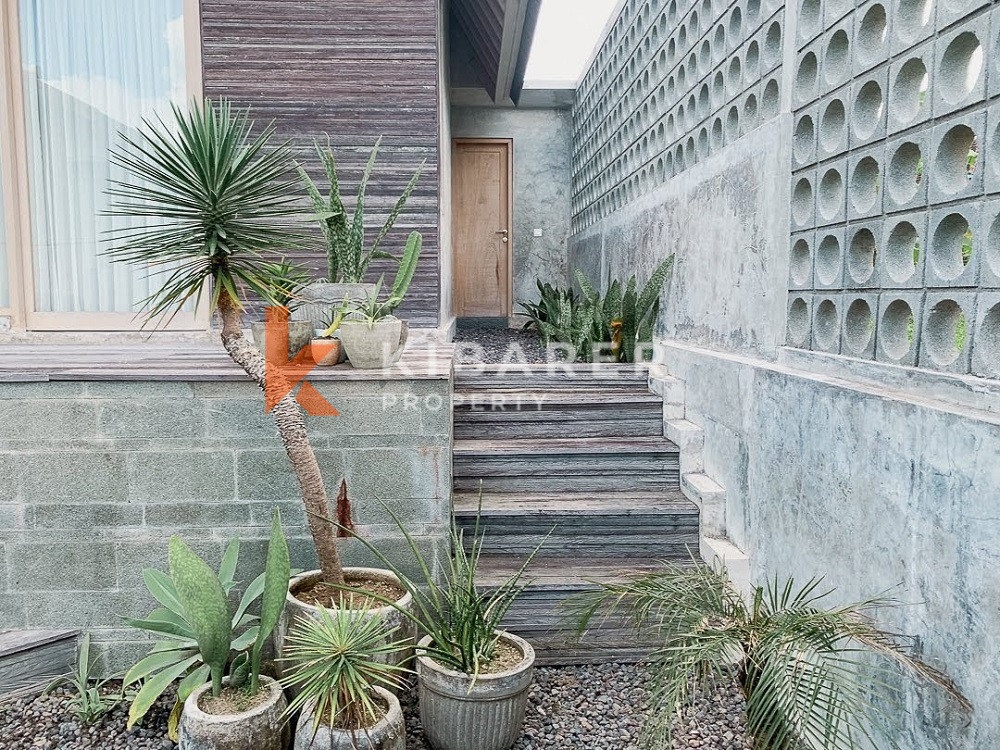 Incroyable villa ouverte de trois chambres de style tropical à Padang Linjong-Canggu