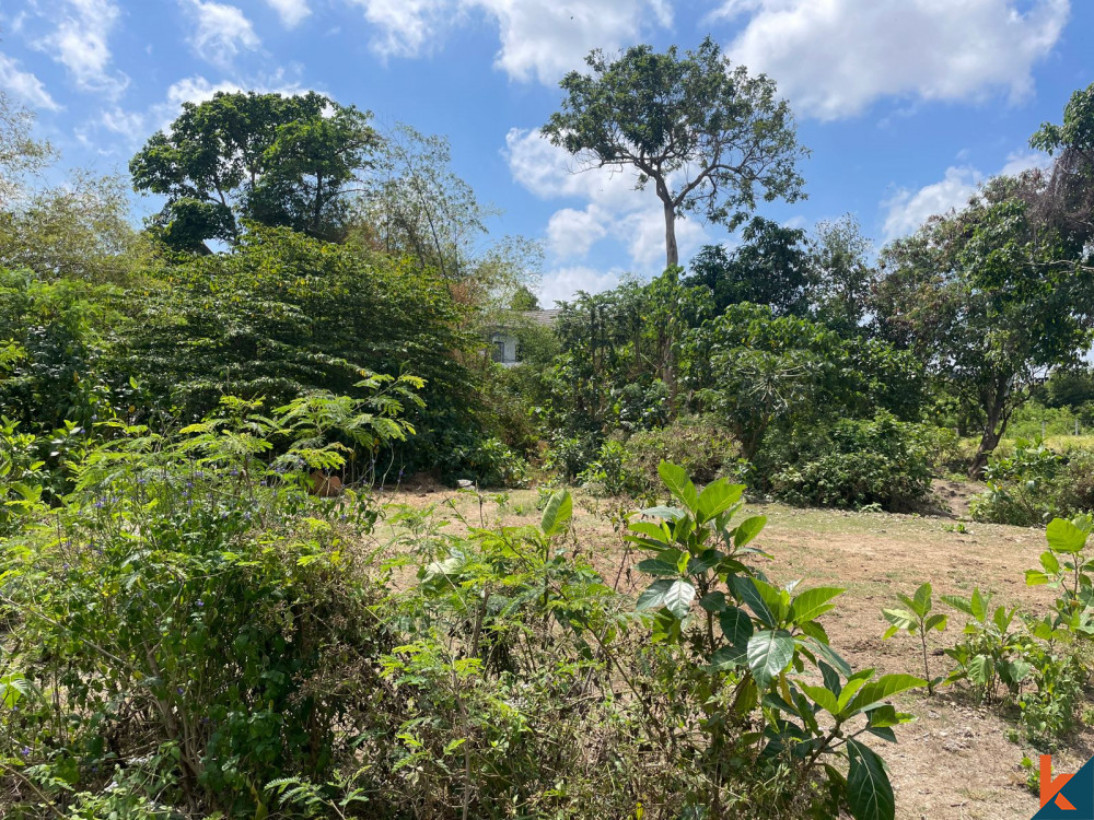 RARE OPPORTUNITY FREEHOLD LAND FOR SALE IN UMALAS