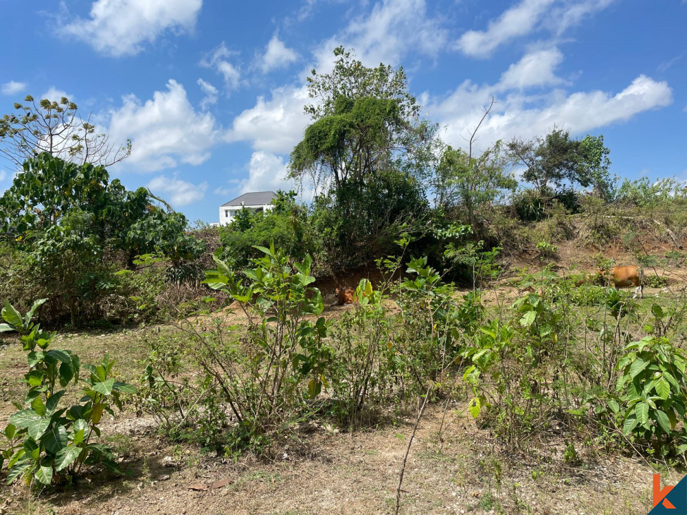 RARE OPPORTUNITY FREEHOLD LAND FOR SALE IN UMALAS