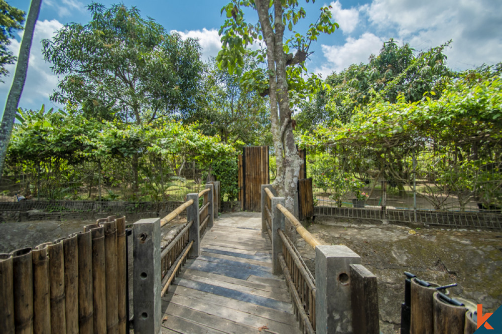 "Villa dengan suasana damai dan nyaman di Canggu, Bali