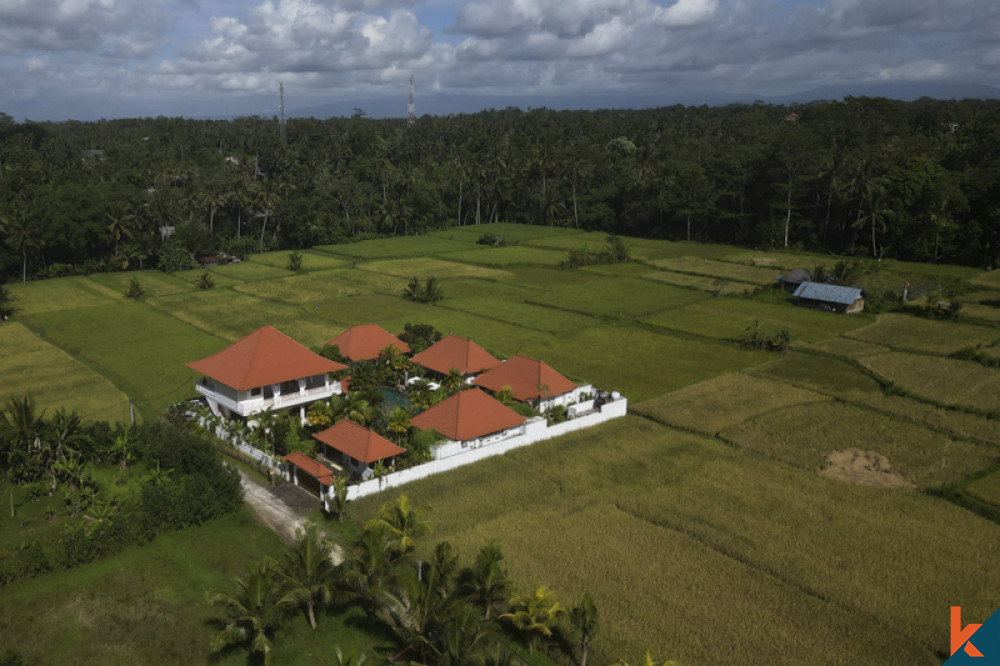 Beautiful ROI estate surrounded by nature in Ubud
