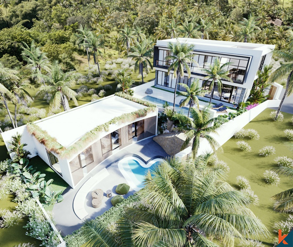 Escape to Paradise Villa de 6 chambres à Pererenan à vendre