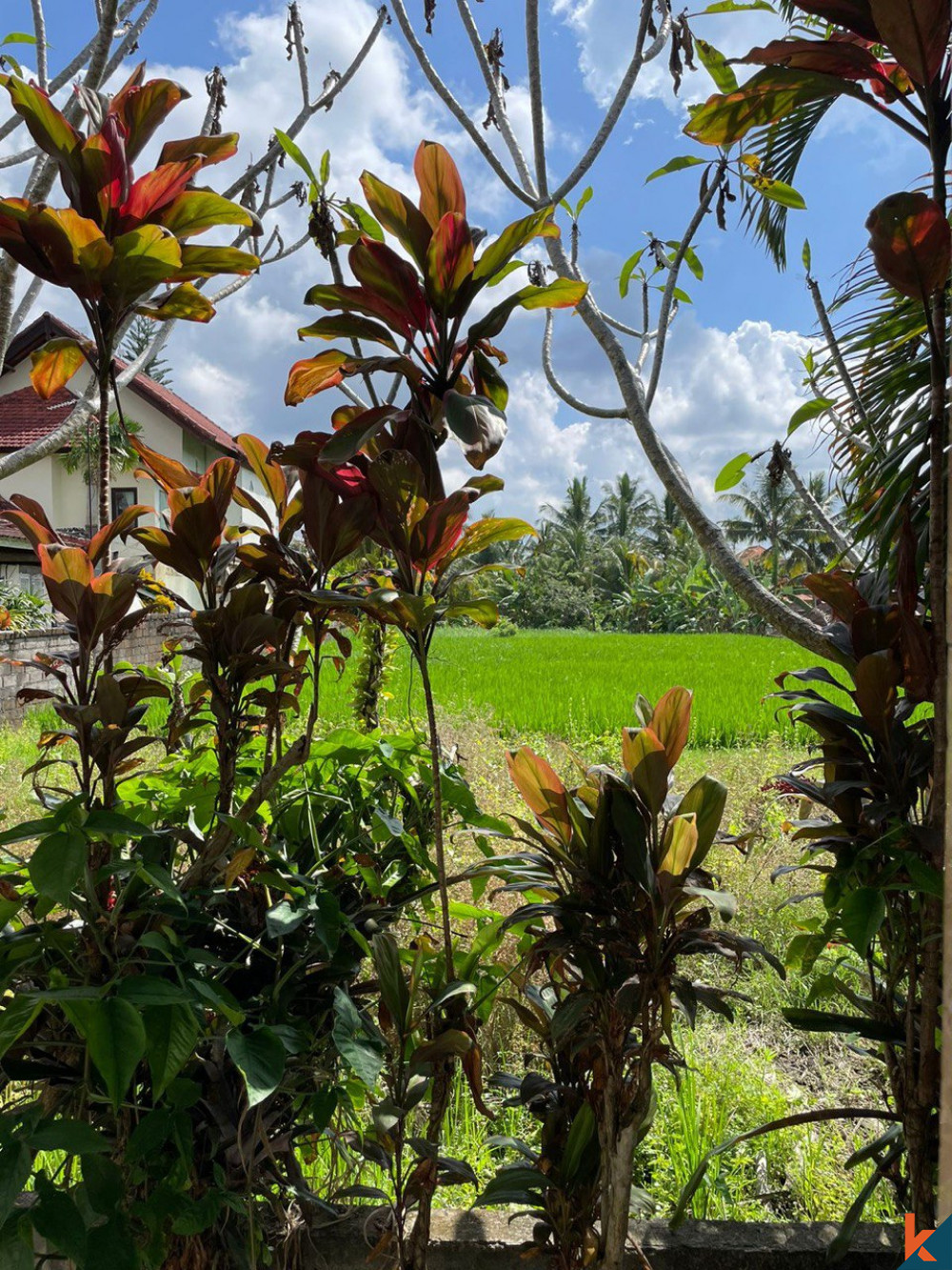 COZY 2 BEDROOM VILLA IN UBUD