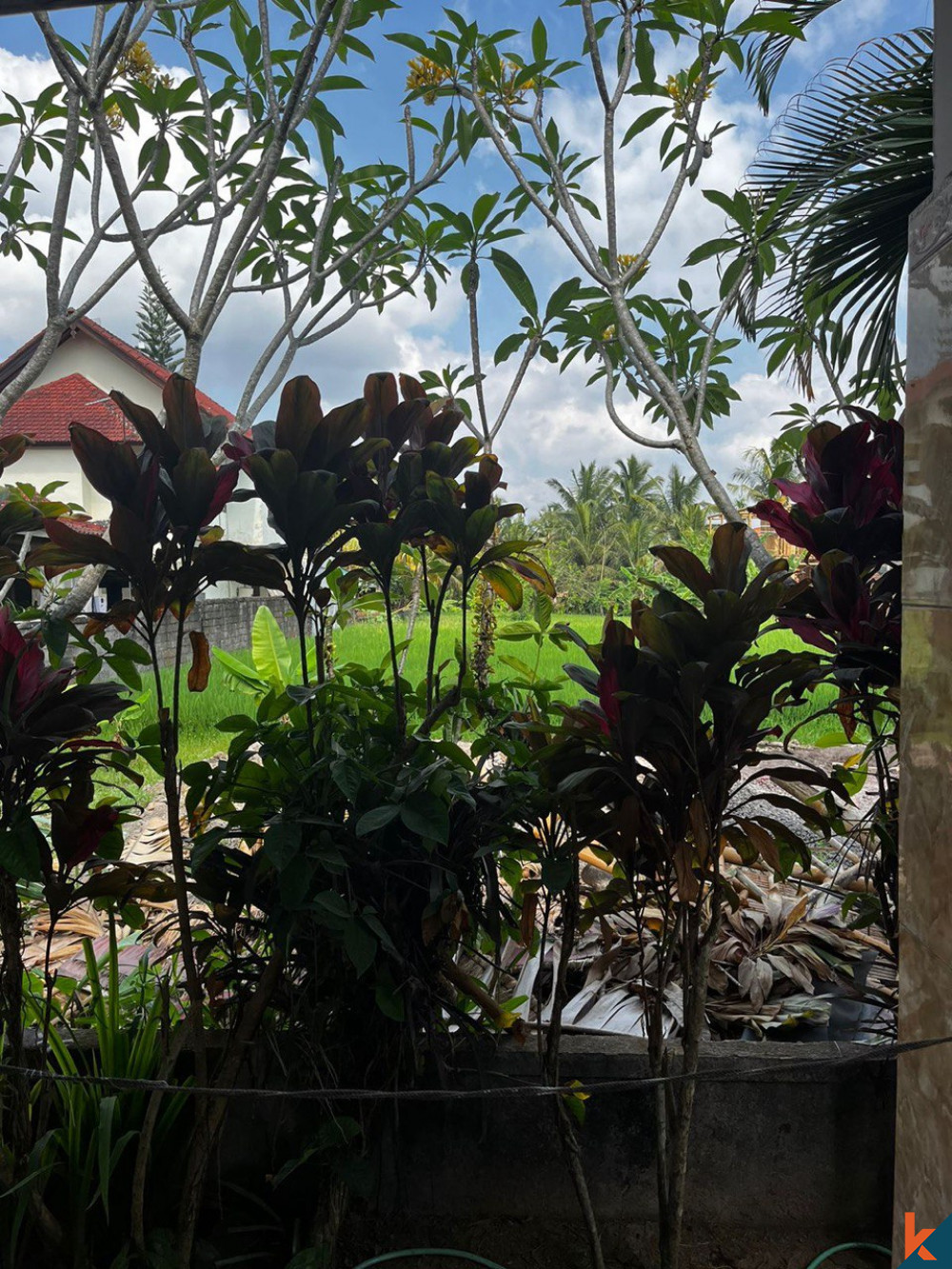 COZY 2 BEDROOM VILLA IN UBUD