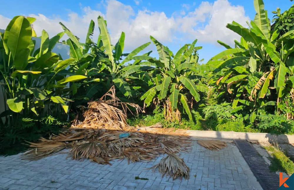 Peaceful 16.6 Ara Land in Kerobokan