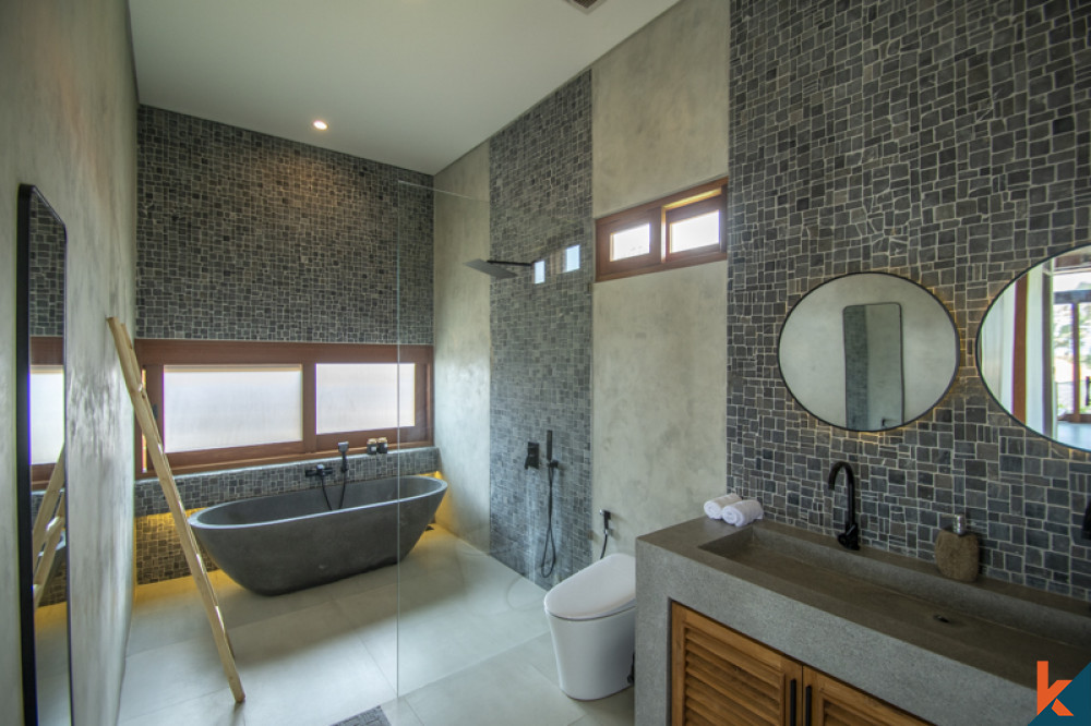 Brand new four bedroom villa with ocean views