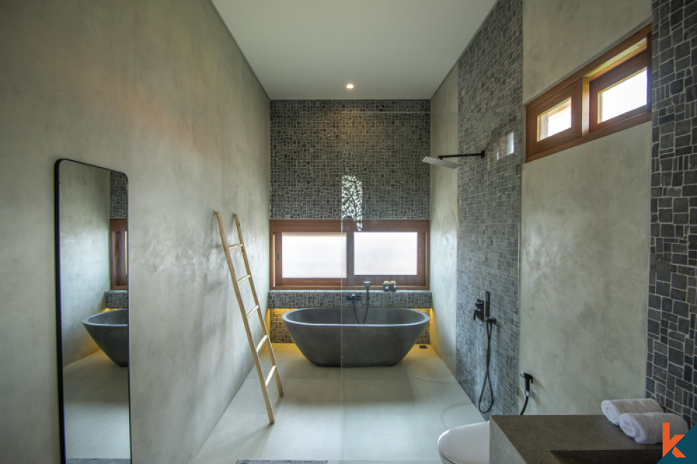 Brand new four bedroom villa with ocean views