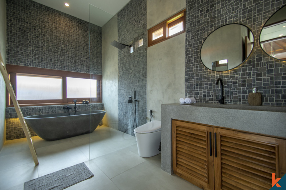 Brand new four bedroom villa with ocean views