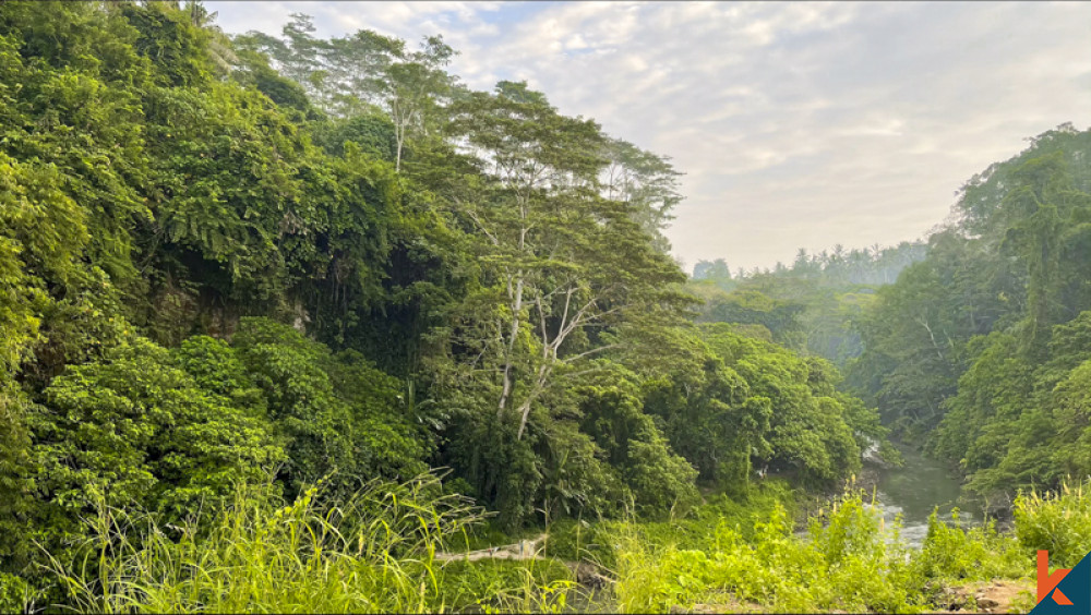 Riverside freehold land with amazing views for sale