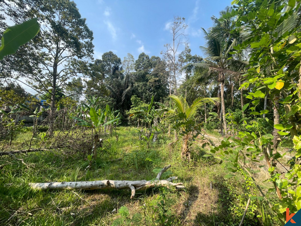 Tanah Tenang 7 Ara di Abiansemal