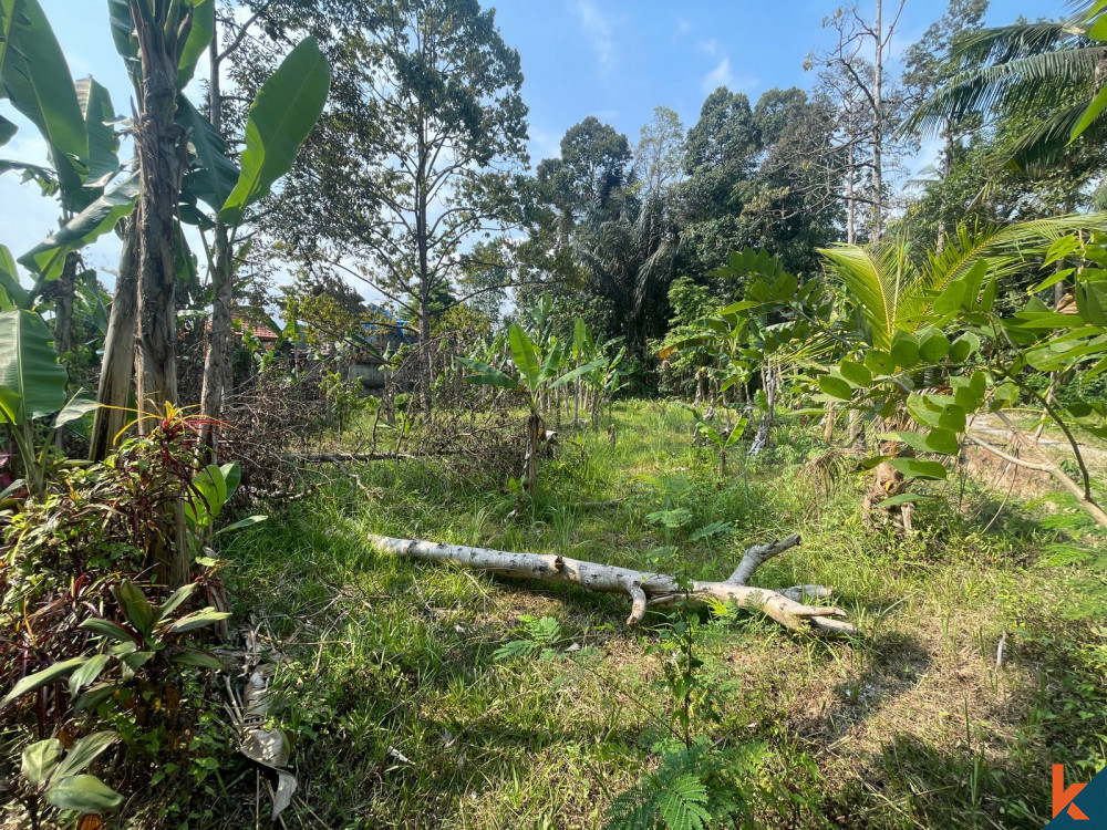 Tanah Tenang 7 Ara di Abiansemal