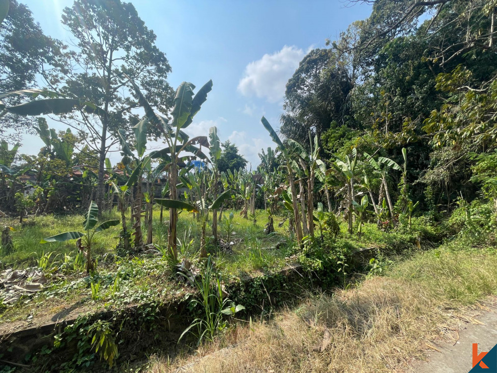 Tanah Tenang 7 Ara di Abiansemal