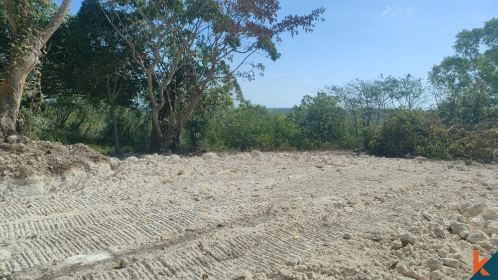 10 are unblocked ocean view pecatu