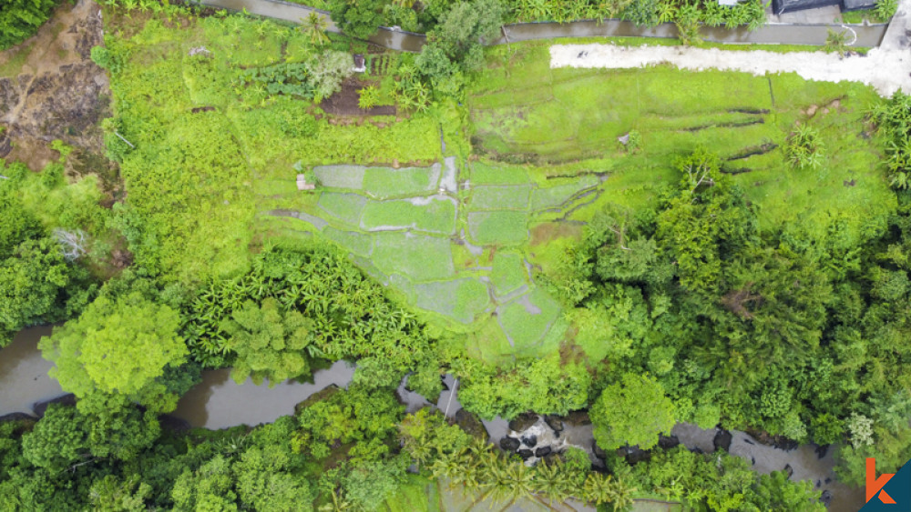 Good opportunity, Long lease plots of land with available projects in Cepaka