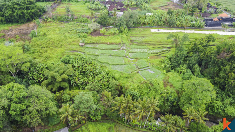 Good opportunity, Long lease plots of land with available projects in Cepaka