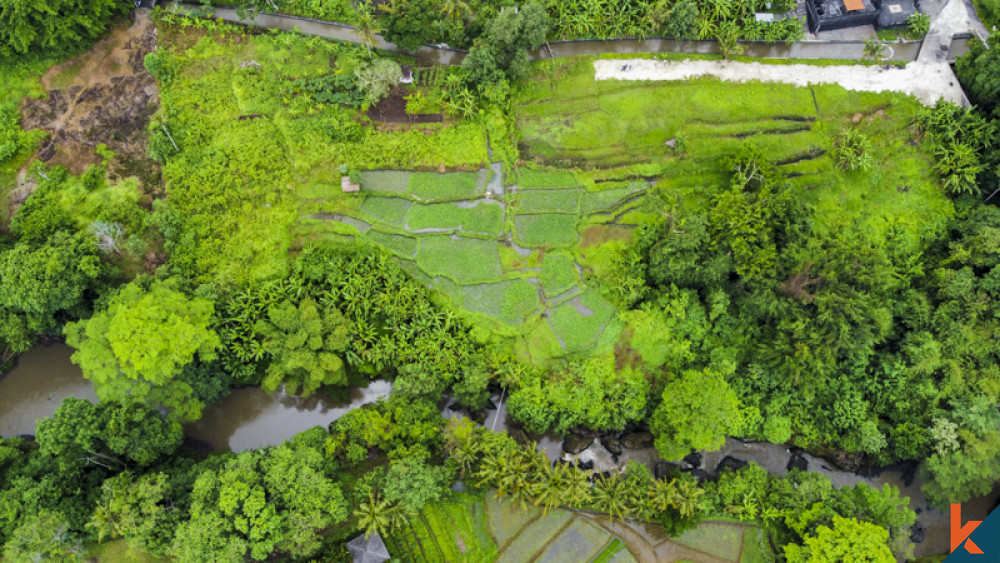 Good opportunity, Long lease plots of land with available projects in Cepaka