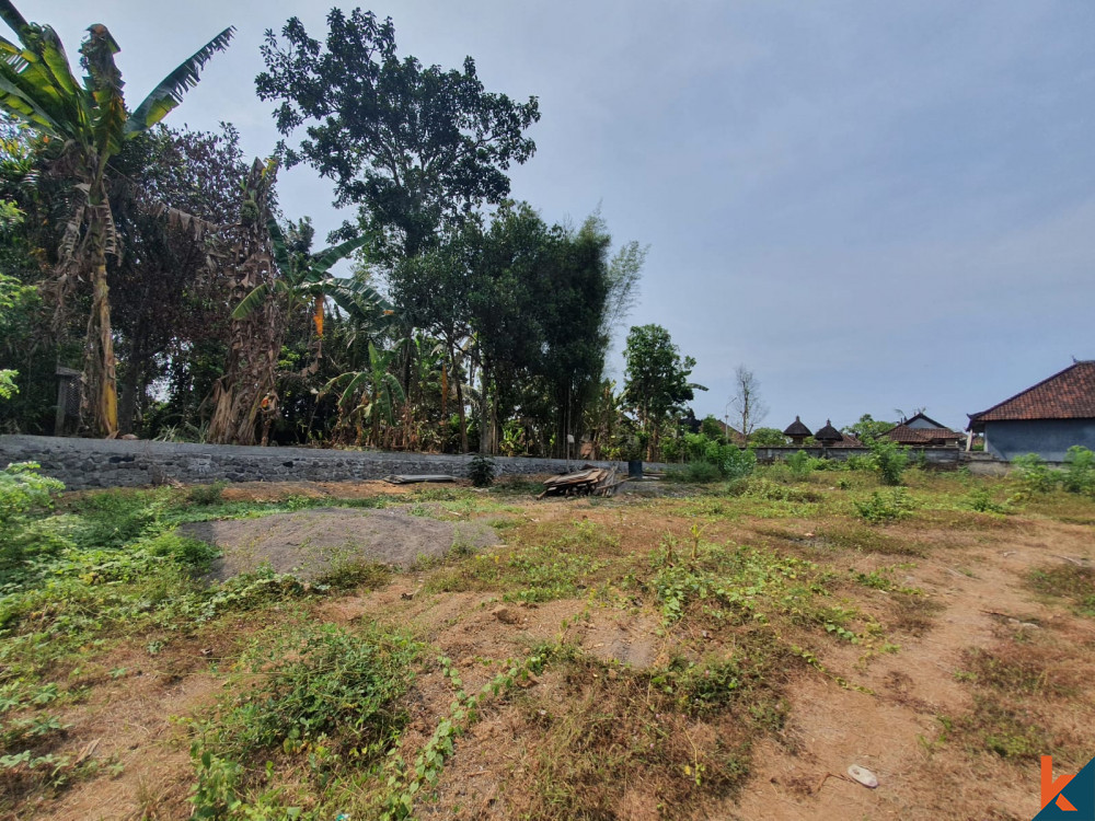 seseh 9.16 are leasehold land with ricefield view
