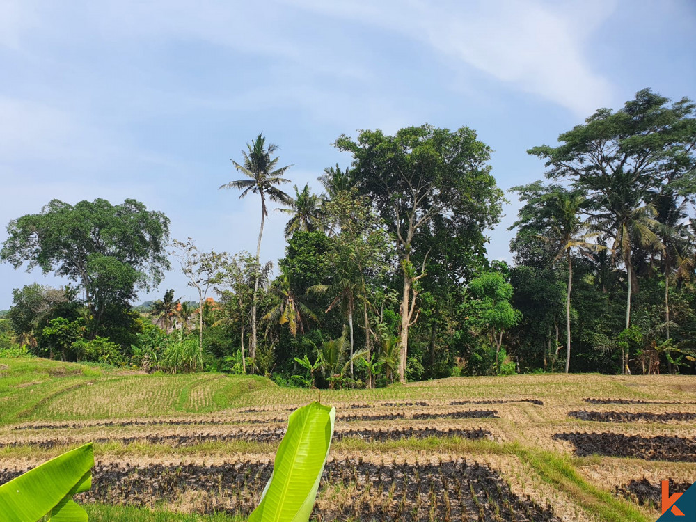 seseh 9.16 are leasehold land with ricefield view