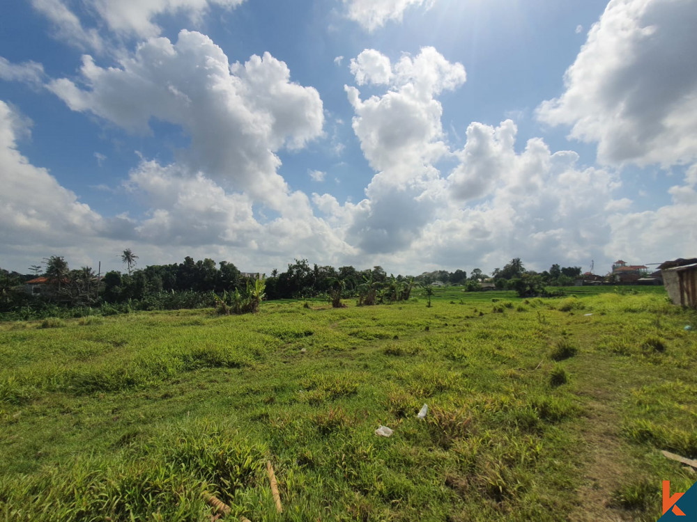 Affordable 6 are Tumbak Bayuh Land with ricefield view
