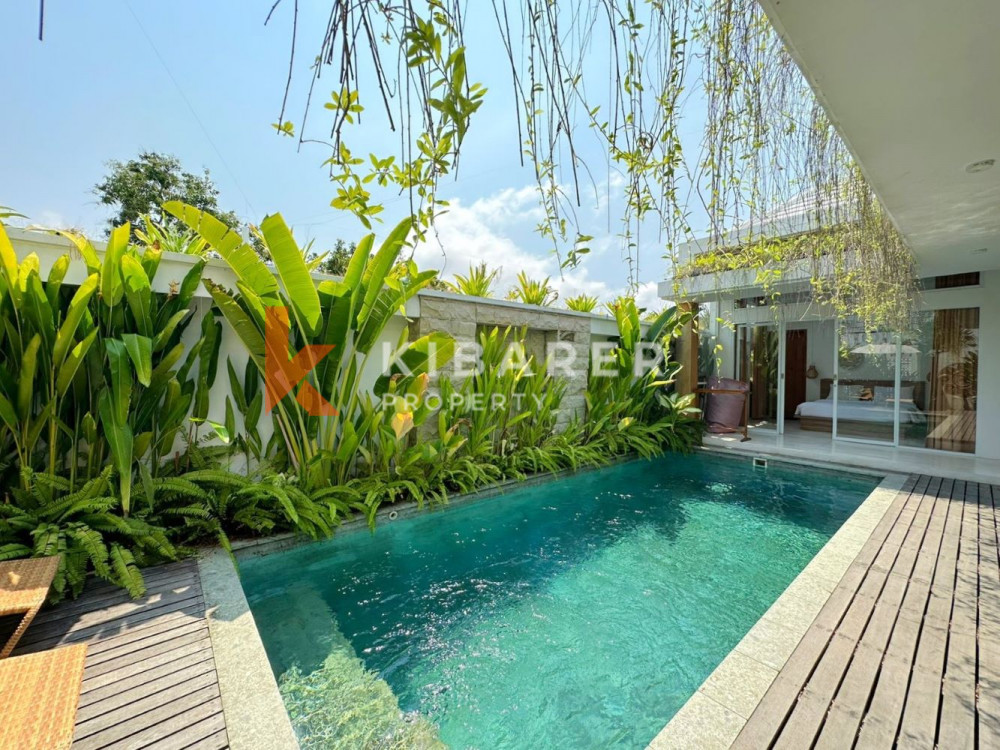 Tropical Modern Three Bedroom Open Living Villa Nestled in Seminyak (Available 2nd February)