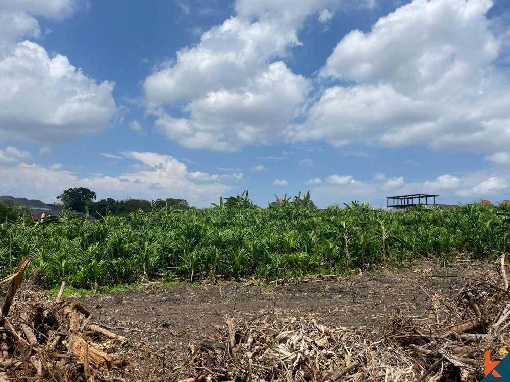 20 sont des terrains de premier ordre au bord de la rivière à Canggu