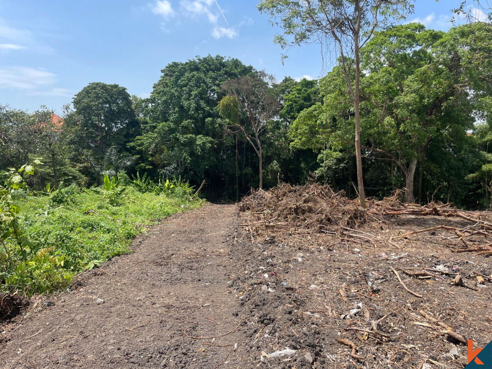 Lahan 20 Are Tepi Sungai di Canggu