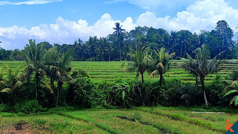 LAND IN KEDUNGU WITH GREENBELT VIEW