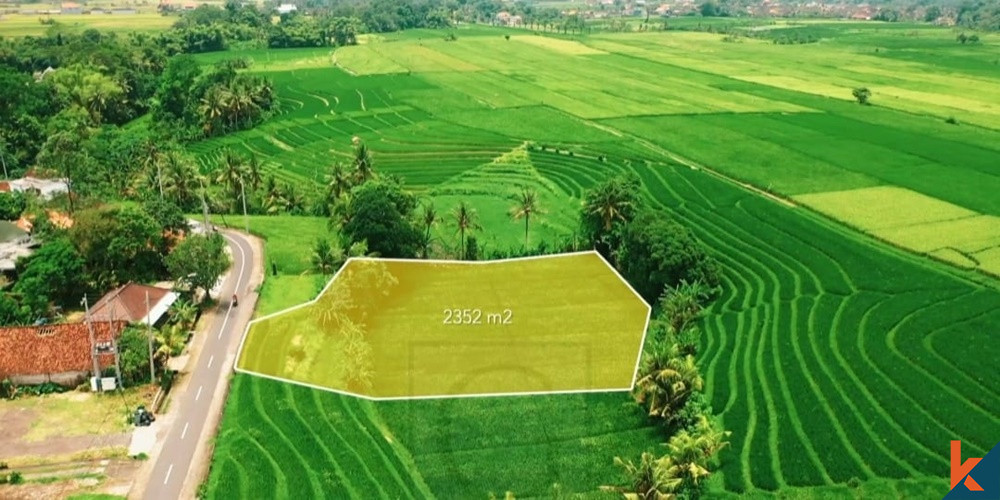 LAND IN KEDUNGU WITH GREENBELT VIEW