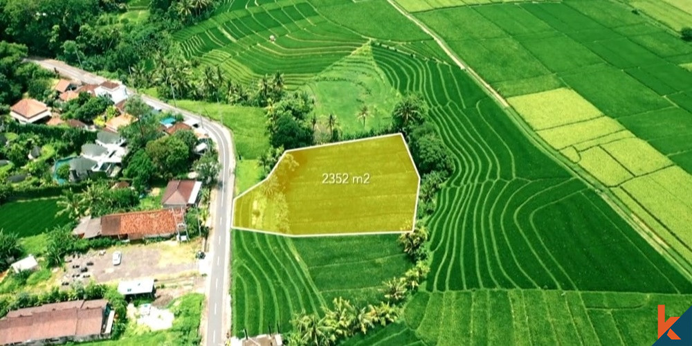 LAND IN KEDUNGU WITH GREENBELT VIEW