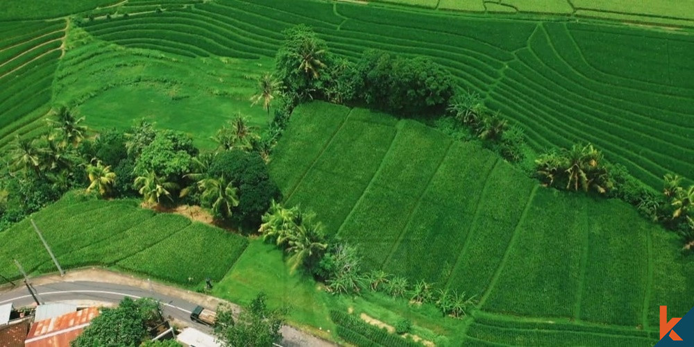 LAND IN KEDUNGU WITH GREENBELT VIEW
