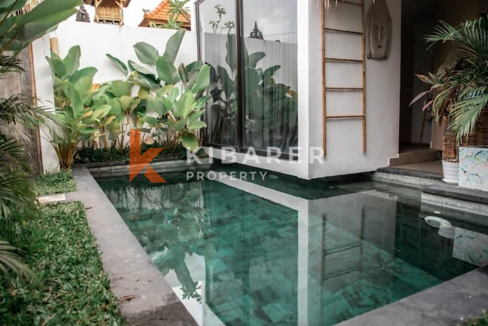 Homey Two Bedroom Villa located in Canggu