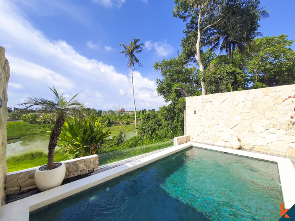 New two bedroom villa with amazing rice fields views