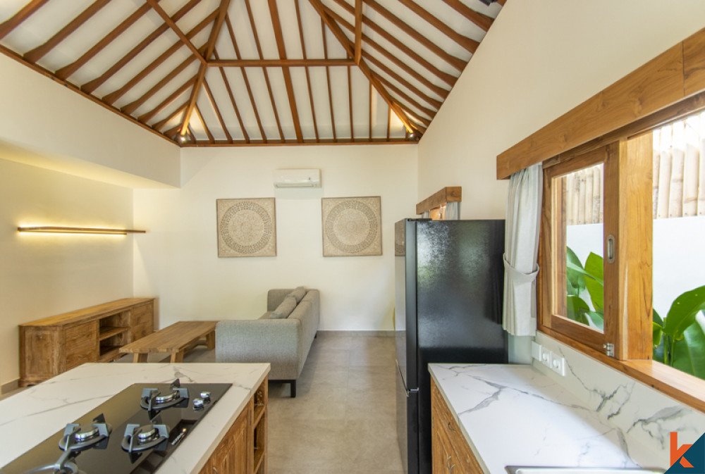 Brand new mix traditional modern villa in Padonan
